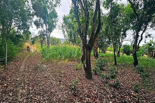 Terreno en venta en Benito Juárez, Chiapa de Corzo — foto 3 de 7