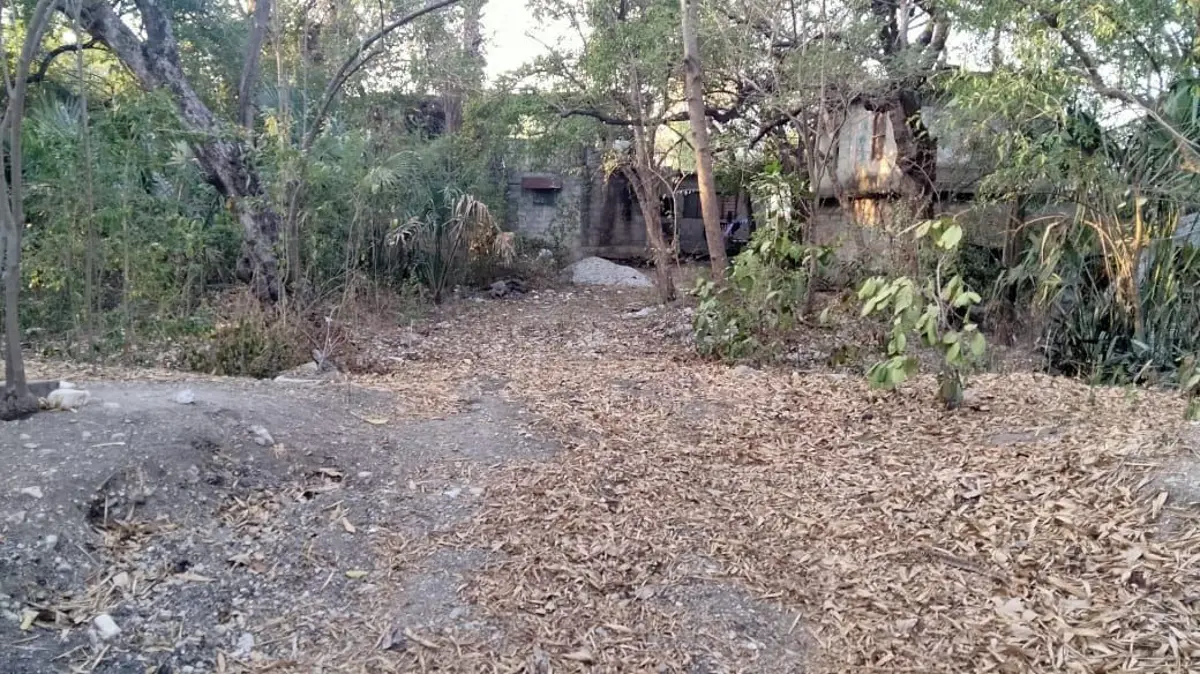 Terreno en venta en Hidalgo, Ciudad Valles
