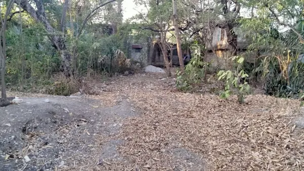 Hidalgo, Ciudad Valles, San Luis Potosi, TERRENO VENTA