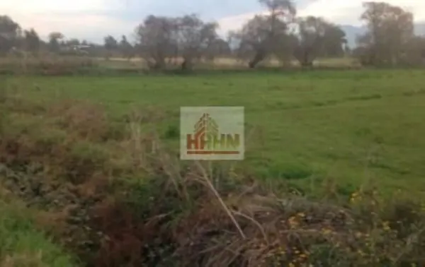 Terreno en venta en Santo Tomas, Teoloyucan — foto 2 de 11