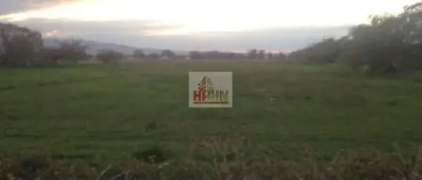 Terreno en venta en Santo Tomas, Teoloyucan — foto 3 de 11