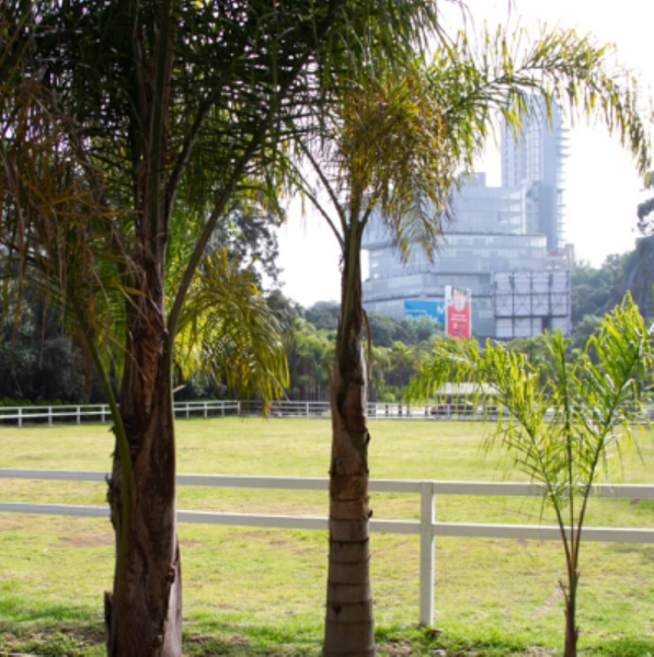 Terreno en venta en Bosques de las Lomas, Cuajimalpa de Morelos — foto 3 de 11