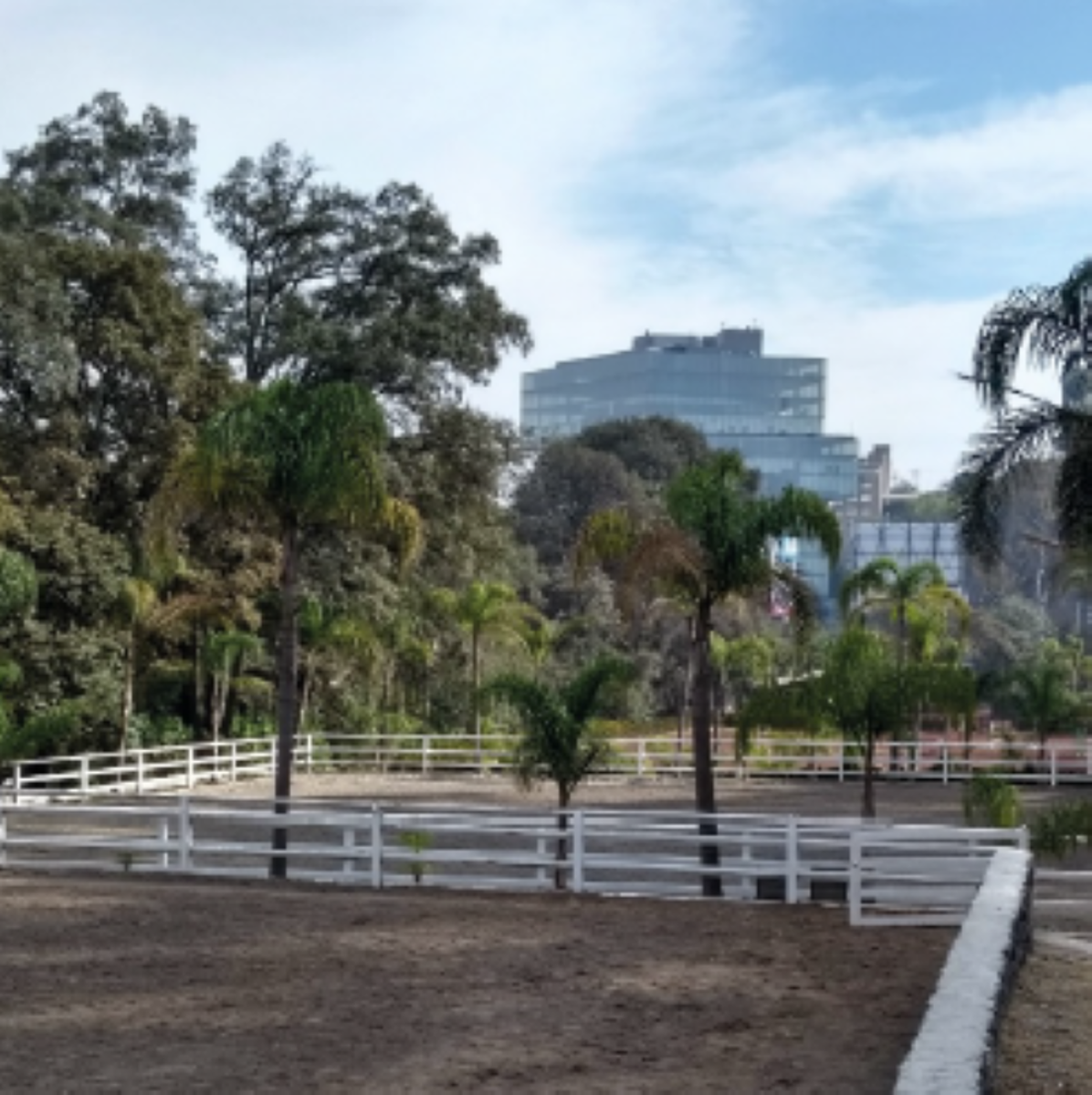Terreno en venta en Bosques de las Lomas, Cuajimalpa de Morelos — foto 1 de 11