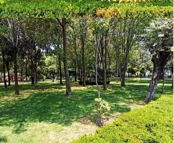 Casa en venta en El Parque de Coyoacan, Coyoacán — foto 2 de 9
