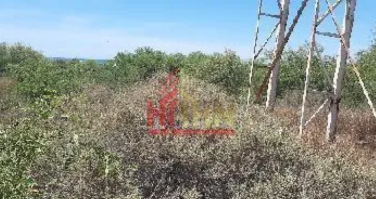 Terreno en venta en San Carlos (San Carlos Nuevo Guaymas), Guaymas — foto 1 de 12