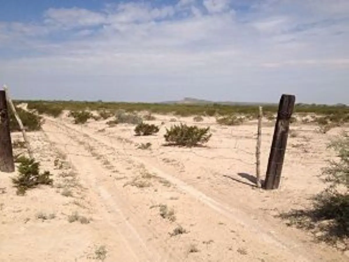Terreno en venta en Mapimí, Mapimí — foto 1 de 12