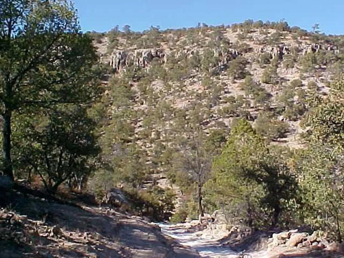 Terreno en venta en Carichi, Carichí