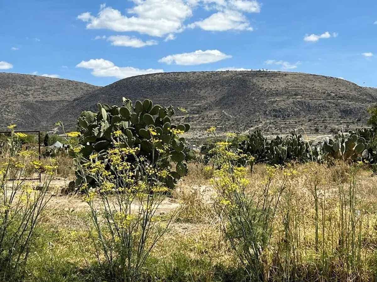 Terreno en venta en Huizache, San Agustín Tlaxiaca — foto 1 de 10