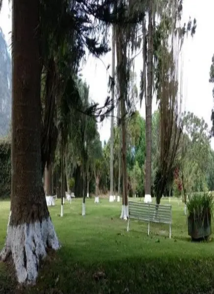 Terreno en venta en Tenango de Rio Blanco Centro, Río Blanco — foto 3 de 8