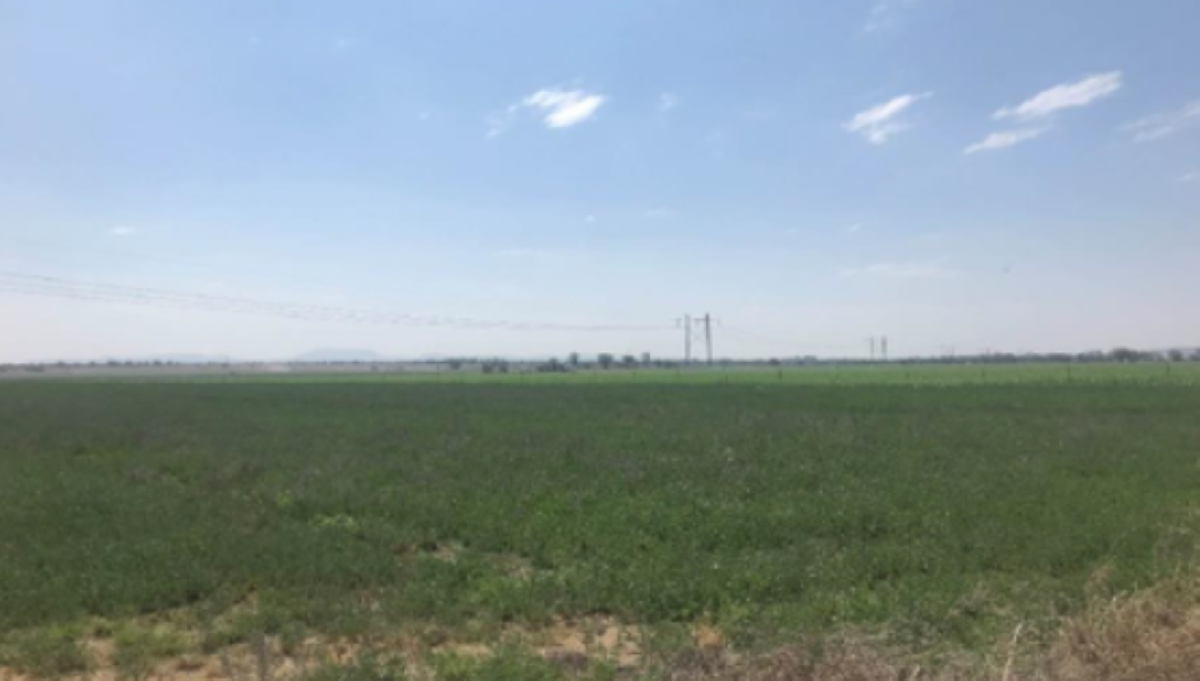 Terreno en venta en San Ignacio, San Luis de la Paz