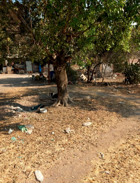 Terreno en venta en Tlatenchi, Jojutla — foto 3 de 13