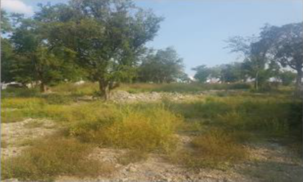 Terreno en venta en Jardín del Campestre, Ciudad Valles — foto 3 de 12