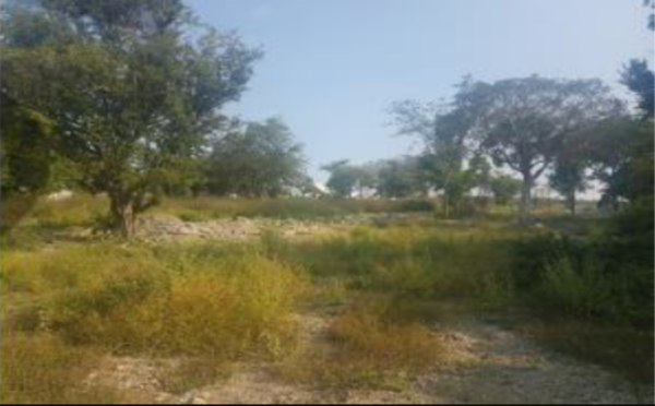 Terreno en venta en Jardín del Campestre, Ciudad Valles — foto 2 de 12