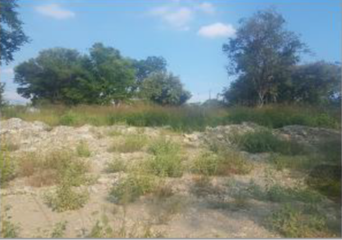 Terreno en venta en Jardín del Campestre, Ciudad Valles — foto 1 de 12