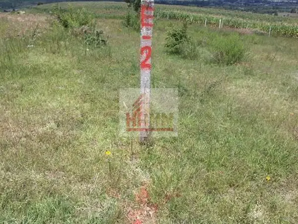 Terreno en venta en El Trébol, Tarímbaro — foto 2 de 2