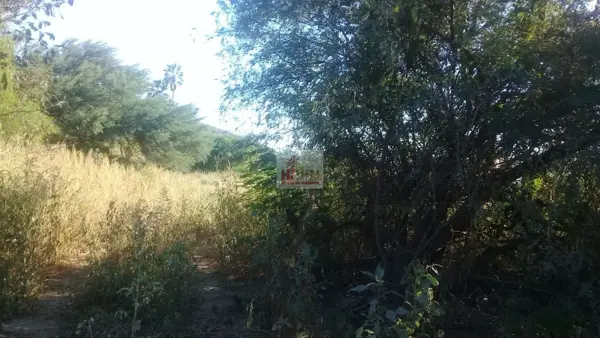 Terreno en venta en Catarina, Los Cabos — foto 3 de 3