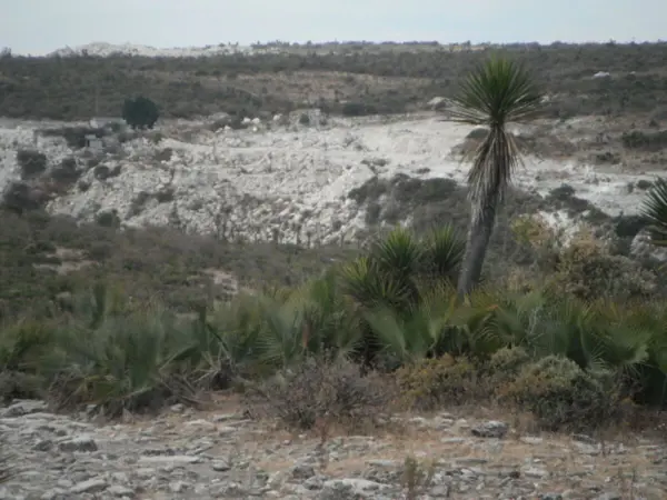 Terreno en venta en Tepexi de Rodríguez, Tepexi de Rodríguez — foto 3 de 8