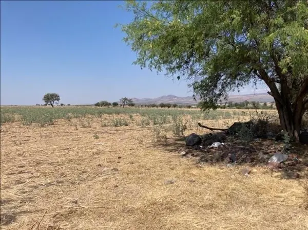 Terreno en venta en Penjamo Centro, Pénjamo — foto 3 de 5