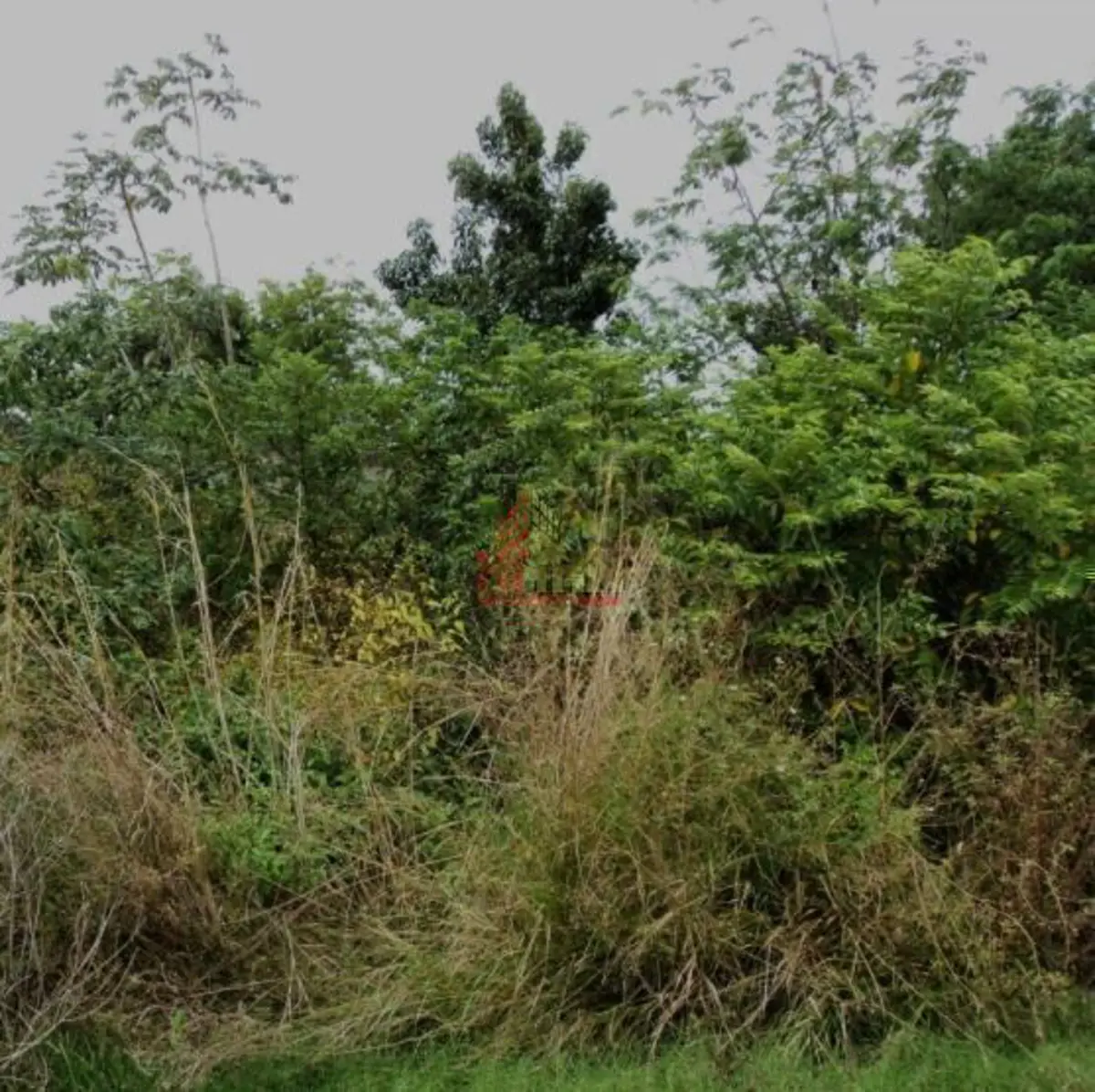Terreno en venta en Supermanzana 225, Benito Juárez
