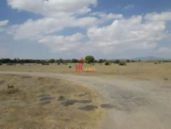 Terreno en venta en San Miguel (Camino a Valle Hermoso), Zumpango — foto 3 de 10