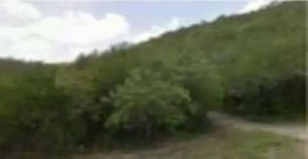 Terreno en venta en Llera de Canales, Llera — foto 2 de 4