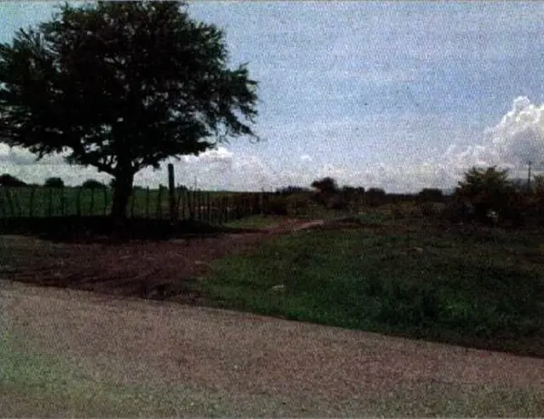 Terreno en venta en Axochiapan, Axochiapan — foto 2 de 3