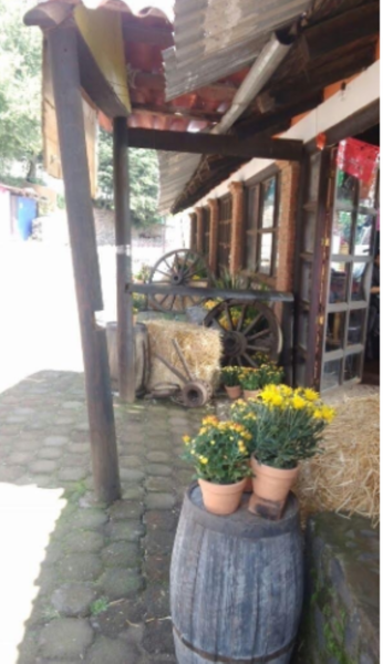Finca-Rancho en venta en Santo Tomas Ajusco, Tlalpan — foto 3 de 17