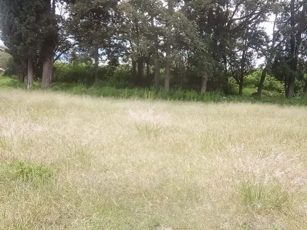 Terreno en venta en Yoalcoatl, La Magdalena Tlaltelulco — foto 3 de 5