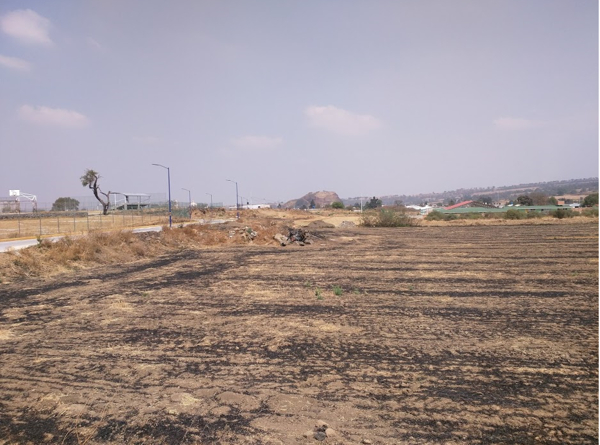 Terreno en venta en Santiago Tepopula, Tenango del Aire — foto 2 de 22