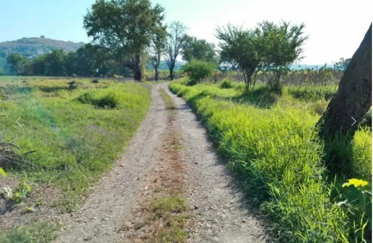 Terreno en venta en Tetecala, Tetecala