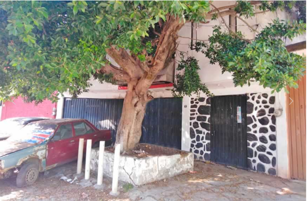 Casa en venta en Antonio Barona 1a Secc., Cuernavaca — foto 1 de 10