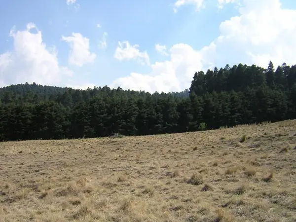Terreno en venta en Santo Tomas Ajusco, Tlalpan — foto 2 de 8
