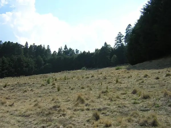 Terreno en venta en Santo Tomas Ajusco, Tlalpan — foto 3 de 8