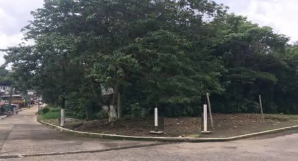 FINCA SANTA FE, TERRENO, VENTA, COATEPEC. VERACRUZ