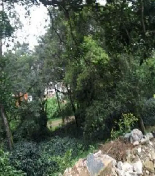 Terreno en venta en Coatepec Centro, Coatepec — foto 2 de 5