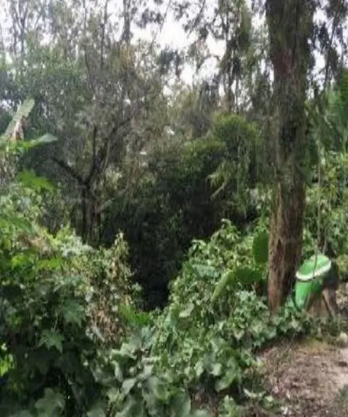 Terreno en venta en Coatepec Centro, Coatepec — foto 3 de 5
