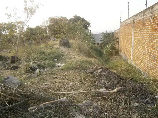 Terreno en venta en Lomas de Trujillo, Emiliano Zapata — foto 3 de 11