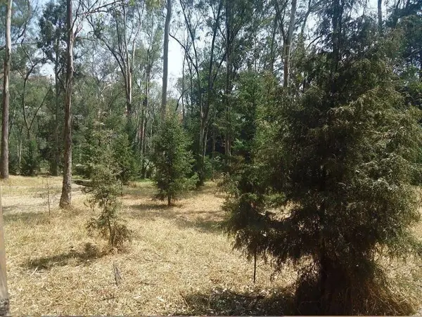 Terreno en venta en Colina del Sur, Álvaro Obregón — foto 3 de 10