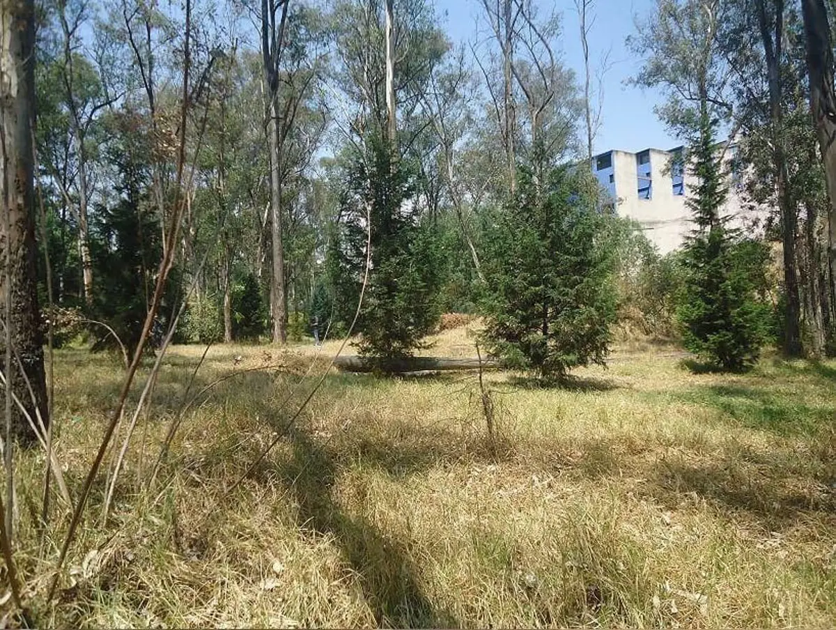 Terreno en venta en Colina del Sur, Álvaro Obregón — foto 1 de 10
