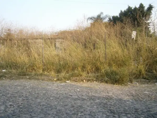 Terreno en venta en Lomas de Trujillo, Emiliano Zapata — foto 2 de 3
