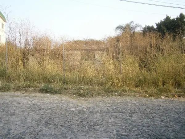 Terreno en venta en Lomas de Trujillo, Emiliano Zapata — foto 3 de 3