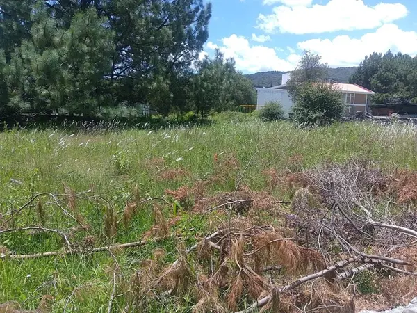 Terreno en venta en Bermúdez, Huasca de Ocampo — foto 2 de 12