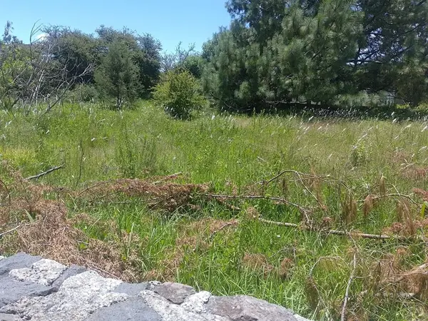 Terreno en venta en Bermúdez, Huasca de Ocampo — foto 3 de 12
