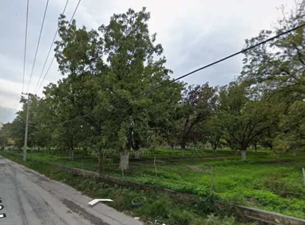 Terreno en venta en El Vergel, Parras — foto 3 de 4