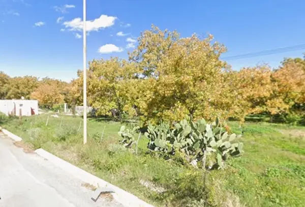 Terreno en venta en El Vergel, Parras — foto 2 de 4