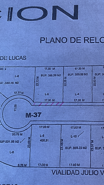 Terreno en venta en Las Trojes, Torreón — foto 3 de 3