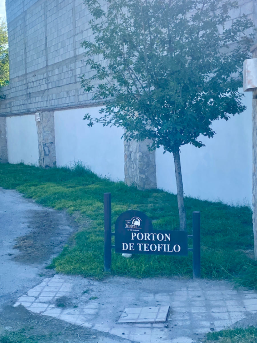Terreno en venta en Las Trojes, Torreón — foto 1 de 4