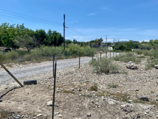 Terreno en venta en Las Palmeras, Parras — foto 3 de 5