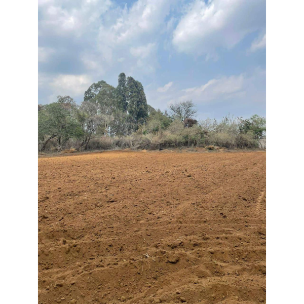 Terreno en venta en Ahuatepec, Cuernavaca — foto 3 de 8