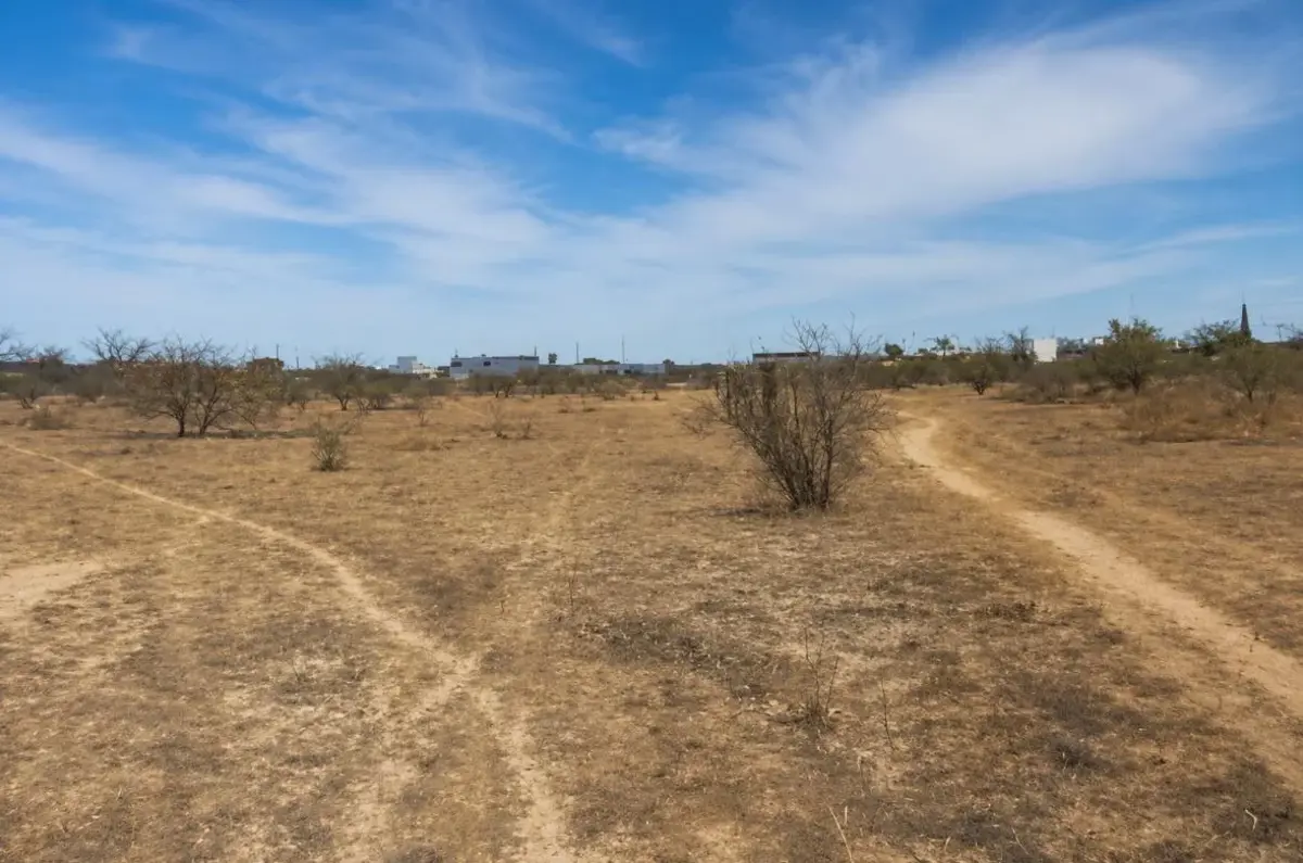Terreno en venta en La Concha, Torreón